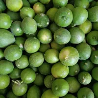 لیمو ترش ارگانیک