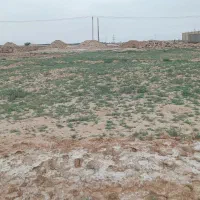 شادگان روستای ربیحات