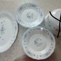 سرویس غذاخوری فرانسه