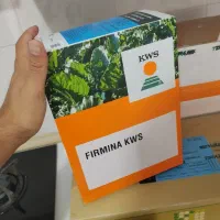 بذر روزاروز و فیرمینا