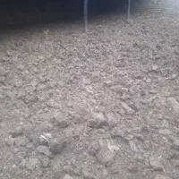 کود گاوی خشک