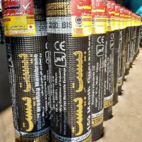 بیست بیست ایزوگام دیپلمات