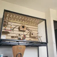 قبول پرنده شما