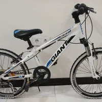دوچرخه جاینت ۲۰ اصلی