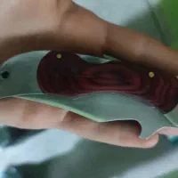 چاقو