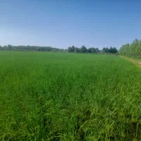 زمین-بیجار-ماشین-رو-کامل