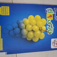 کتاب تست تیزهوشان و نمونه دولتی فارسی نهم