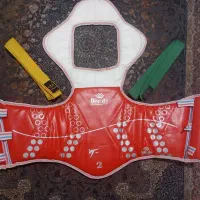 هوگو و کمربند تکواندو