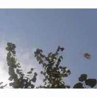 مغازه-ی-تجاری-دائم-12-متری