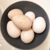 تخم بوقلمون منبع غنی پروتئین و بمب رشد قدی
