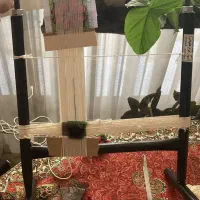 آموزشگاه قالیبافی آتروپات فرش اردبیل،تنهابا۲میلیون