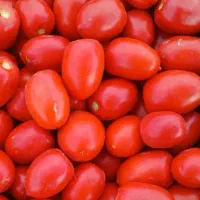 گوجه فرنگی تازه چین