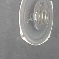 باند خربزه ایی سالامون