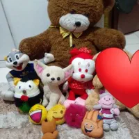 عروسک های پولیشی