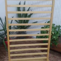 رگال