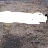 ۲۱۰زمین با پروانه ساخت اقبال لاهوری
