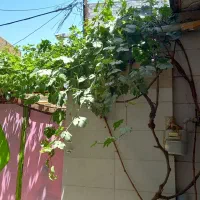 دو-طبقه-بزرگ-راه-جدا-امتیازات-مصرفی-جدا