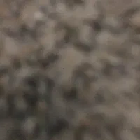 سیم کارت