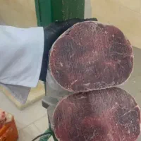 گوشت منجمد و تازه