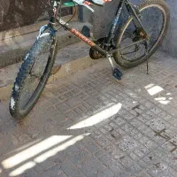 دوچرخه ۲۶|دوچرخه، اسکیت، اسکوتر|اسفراین, |دیوار