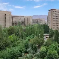 بهترین-فایل-نقلی-کوی-بیمه-43
