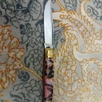 چاقو میوه خوری تاشو