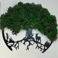قاب سبز ماندگار