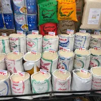 برنج‌ هاشمی مازندران‌ با کالا برگ کیلویی ۲۶۵