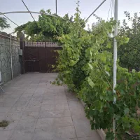 باغی-زیبا-باعمارتی-چشم-گیر-پراز-درخت