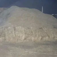 کاه گندم دیم