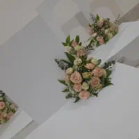 باکس بله برون ، نامزدی ، حنا