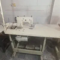 چرخ زیگزال هفت وهشت در حدنو