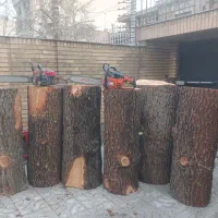 خریدوفروش‌چوب‌