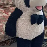 خرس پاندای بزرگ