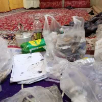 نظافت تخصصی منزل. آپارتمان محل کار وکارگاه. باغ