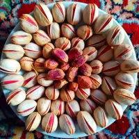 فروش 30ساعت اب چاه موتور برقی باغ پسته