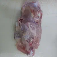 اسکلت پورگوشت بابچه فیله