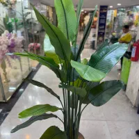 مرکز پخش انواع درختچه گل گیاه مصنوعی