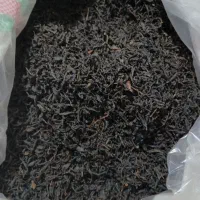 چای سیاه قلم بهاره لاهیجان