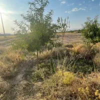 مجموعه زمین باغشهری500متری بین جاده رشمیجان رجاباد