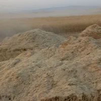کاه گندم دیم ۱۷۰۰
