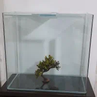 اکواریوم شیشه خم