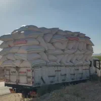 کاه مخصوص گاوی کاه مخصوص گوسفندی