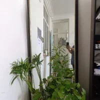 اینه دومتری