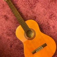 گیتار آریاak-20N