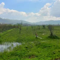 زمین کشاورزی ریخلان
