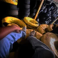 لاستیک (تایر) دولتی (مصوب) با گارانتی 5 سال