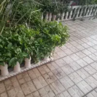 فروش زمین مسکونی
