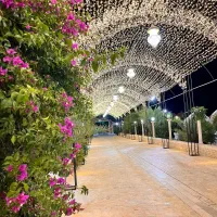 ریسه سوزنی ۵۰متری نور آفتابی