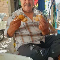 حلزون اچاتینا